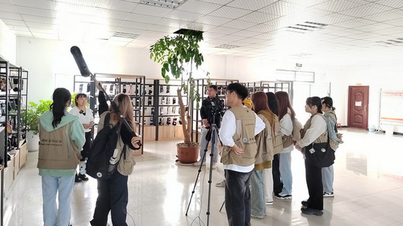 品牌策划服务：定制价格背后的考量与价值